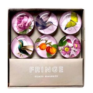 Fringe Studio Meadow Bird Dome Magnets (304009), 6 ct